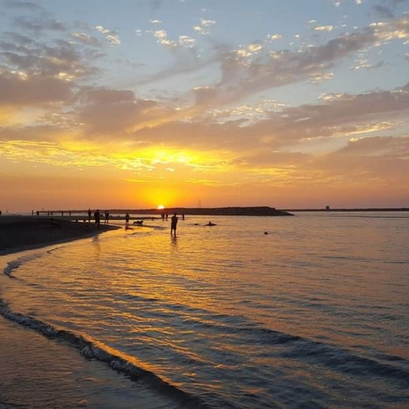 Meet your Posher, Yolly - Picture 2 of 3